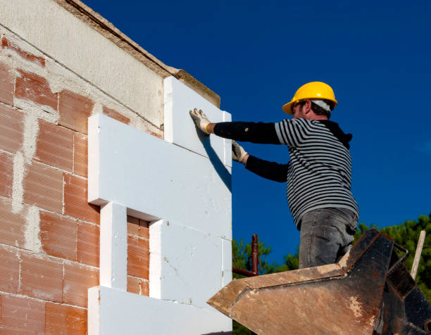 Best Geographic-Specific Insulation Services in Rio, WI