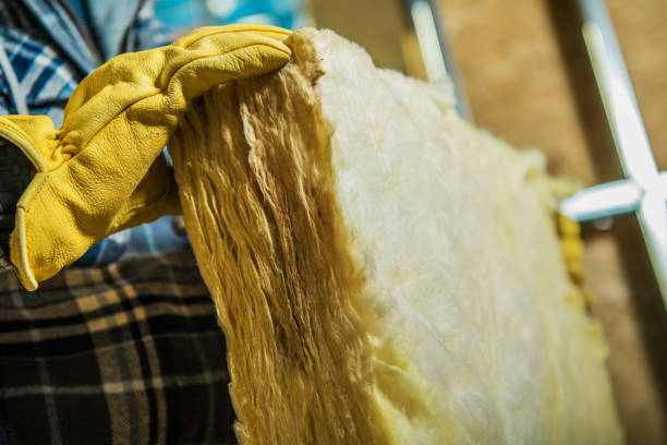 Best Specialized Insulation Services in Rio, WI