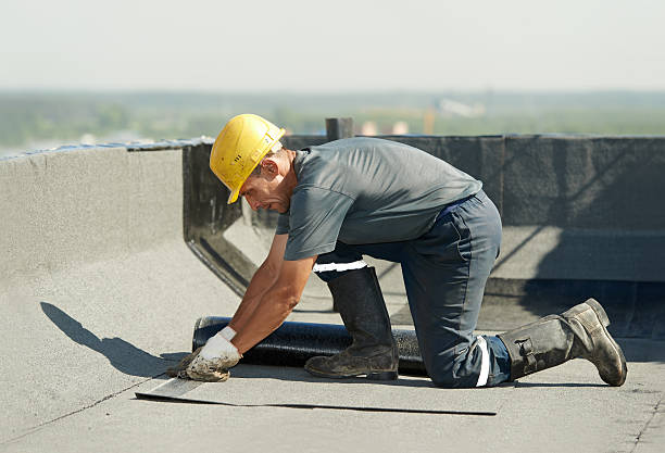 Best Spray Foam Insulation in Rio, WI