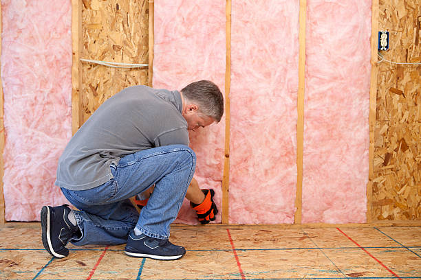 Best Eco-Friendly Insulation in Rio, WI